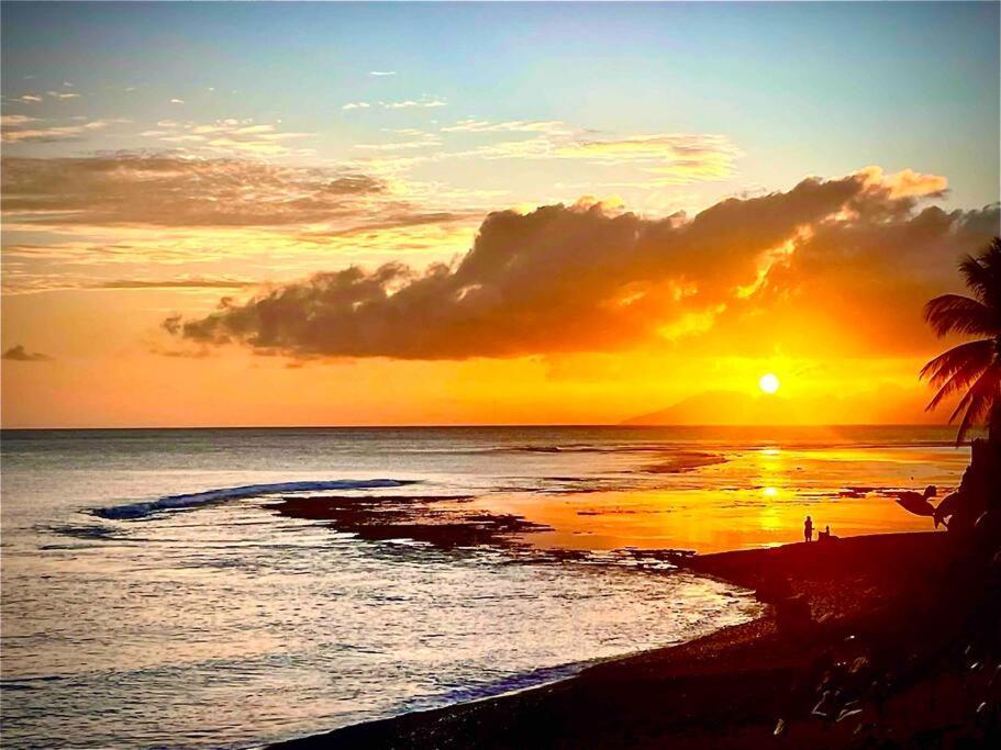 Moehani Beach Lodge Пунаауйя Экстерьер фото